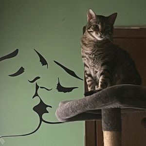 Meet your Posher, Kj